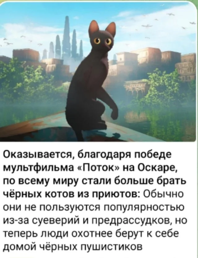 Классные приколы: свежо и смешно #4