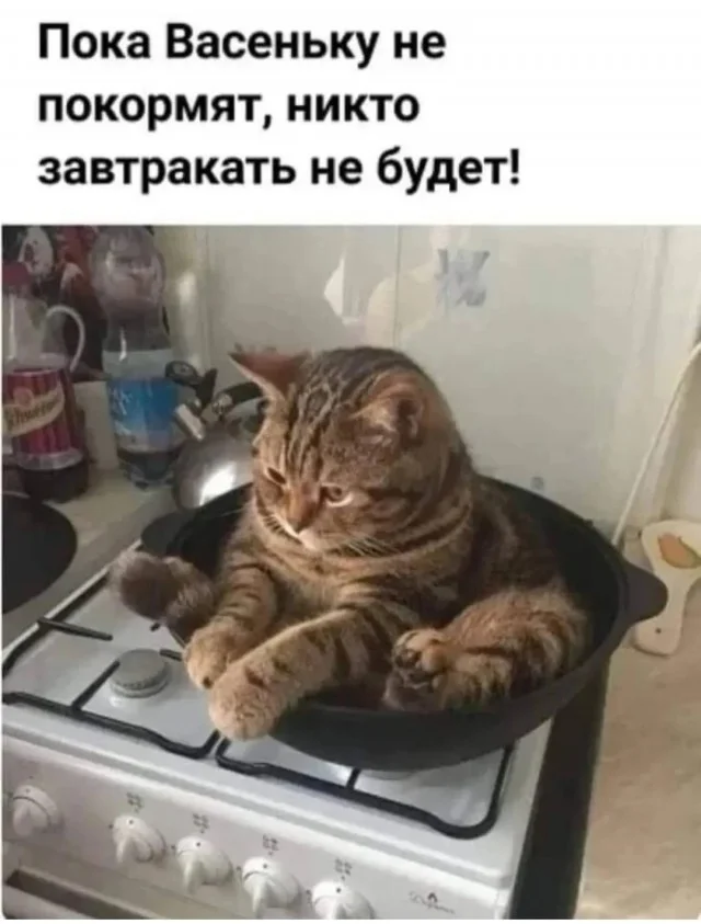 Классные приколы