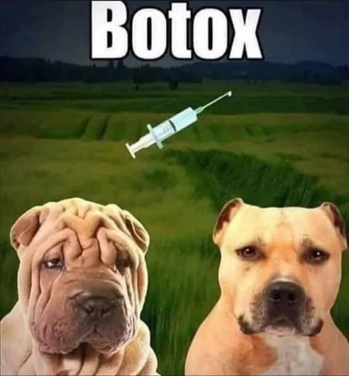 Нестандартный юмор #484