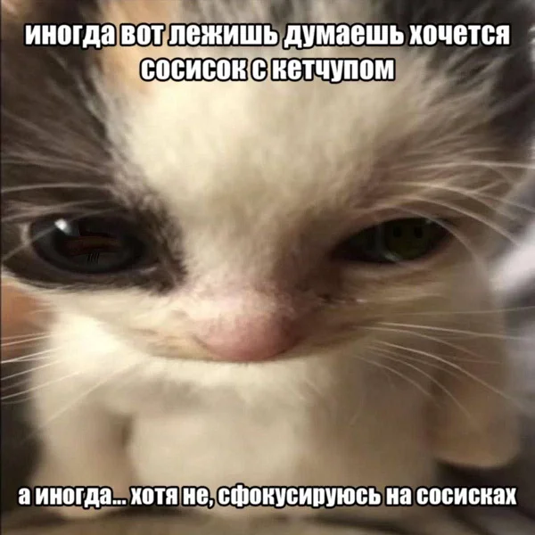 Очень весело!