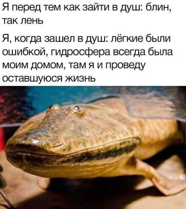 Смешные скрины из соцсетей #113