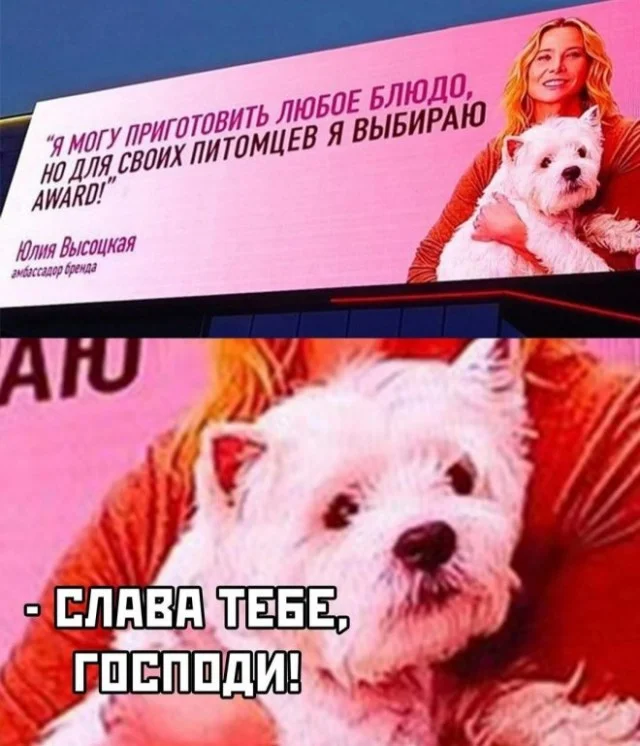 Деградируем с мемами