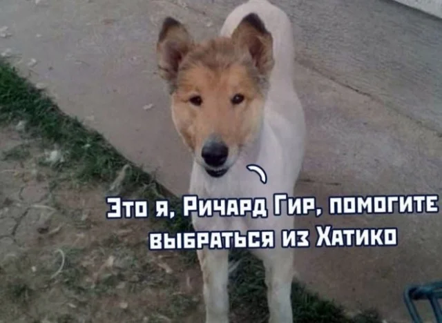 Ну давай деграднем