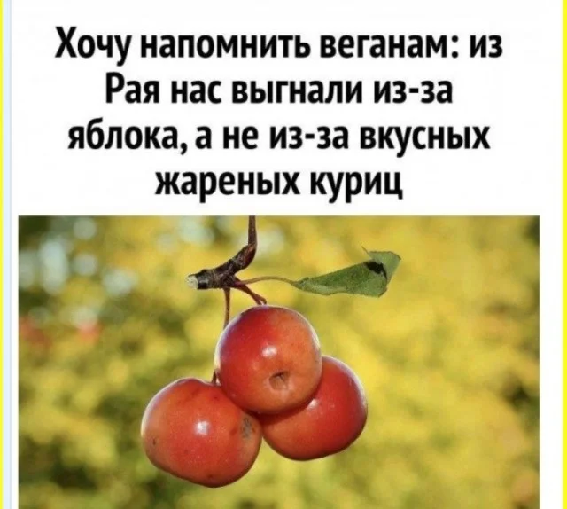 На каждый день