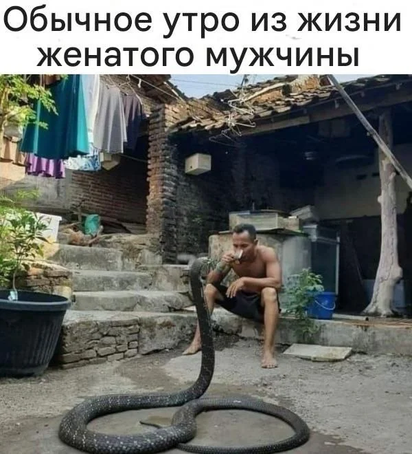 Нестандартный юмор #481 Нестандартный юмор #481