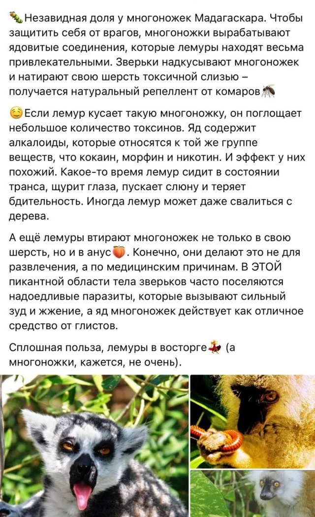 Мемы буднего дня #2