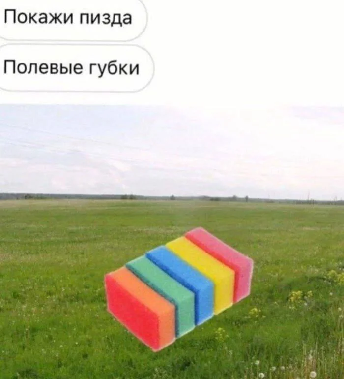 Нестандартный юмор #484