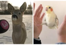 Фото вне здравого смысла: 20 примеров абсурда