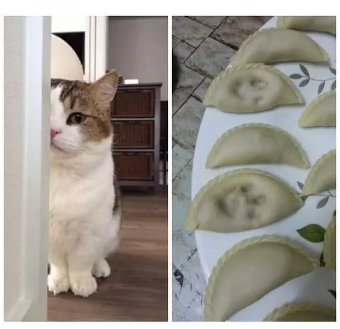 Фото вне здравого смысла: 20 примеров абсурда