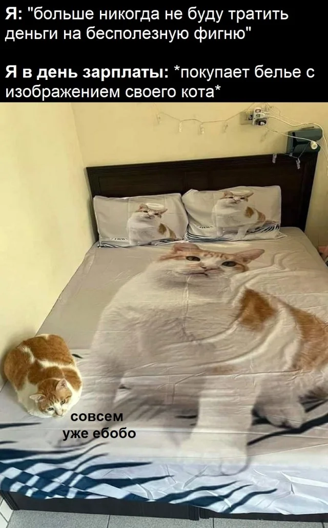 Подборка веселых и свежих мемов