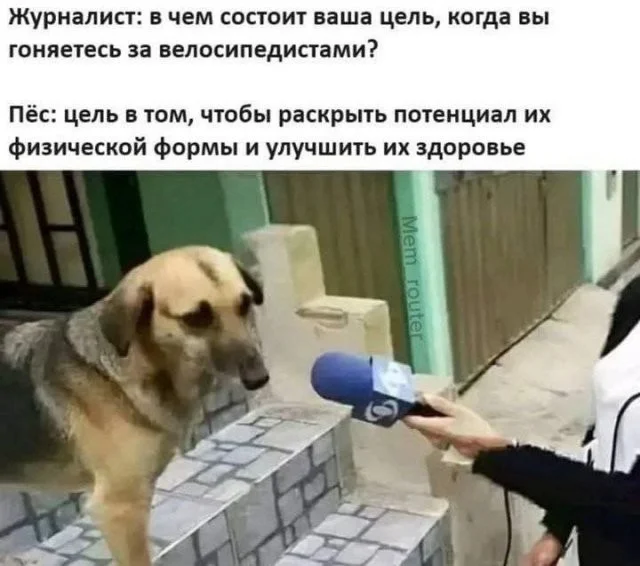 Смешные скрины из соцсетей #115 Смешные скрины из соцсетей #115