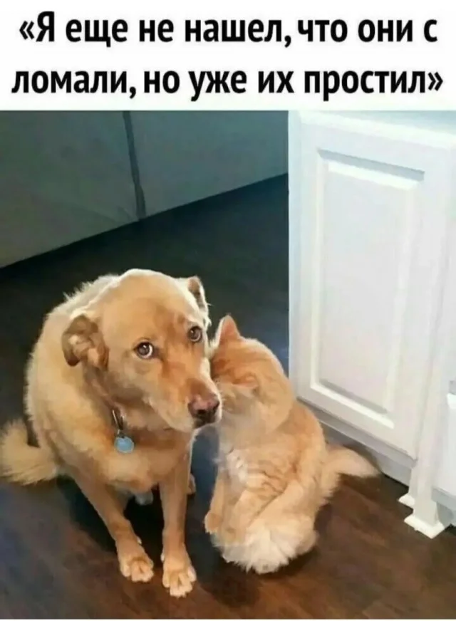 Класс! Юмор и приколы!