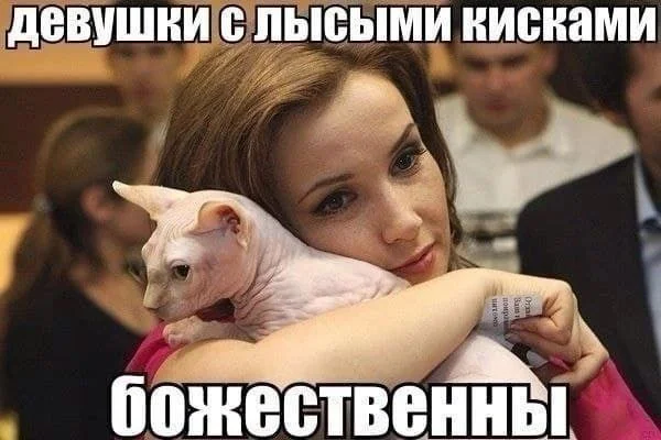 Нестандартный юмор #492 Нестандартный юмор #492