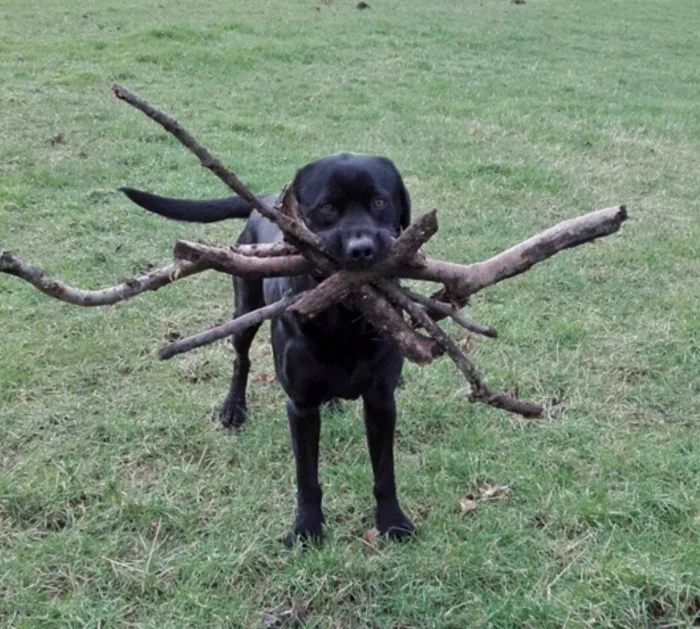 Фото вне здравого смысла: 20 примеров абсурда