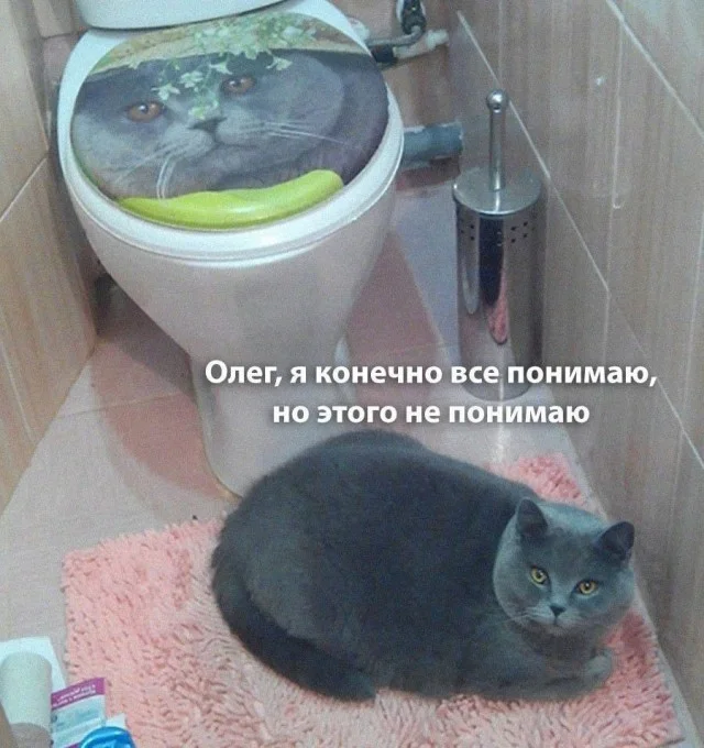 Мемные мемы