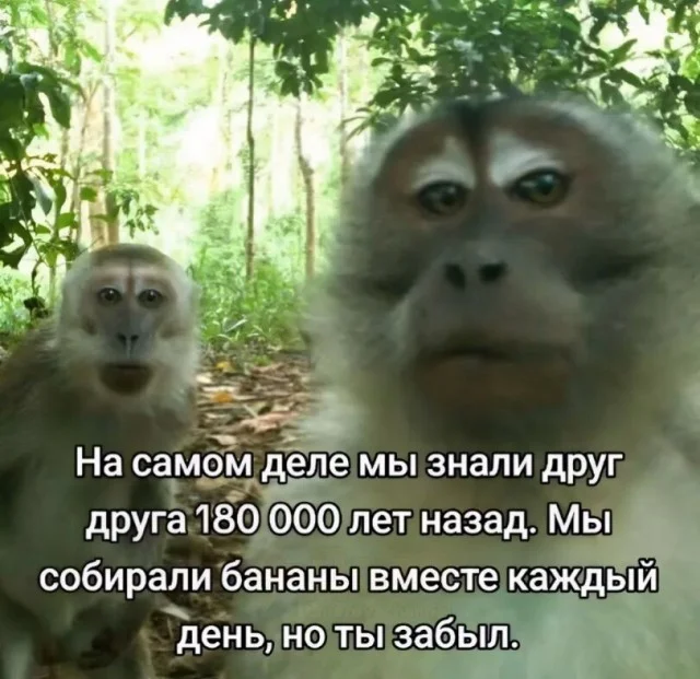 Тупость в картинках