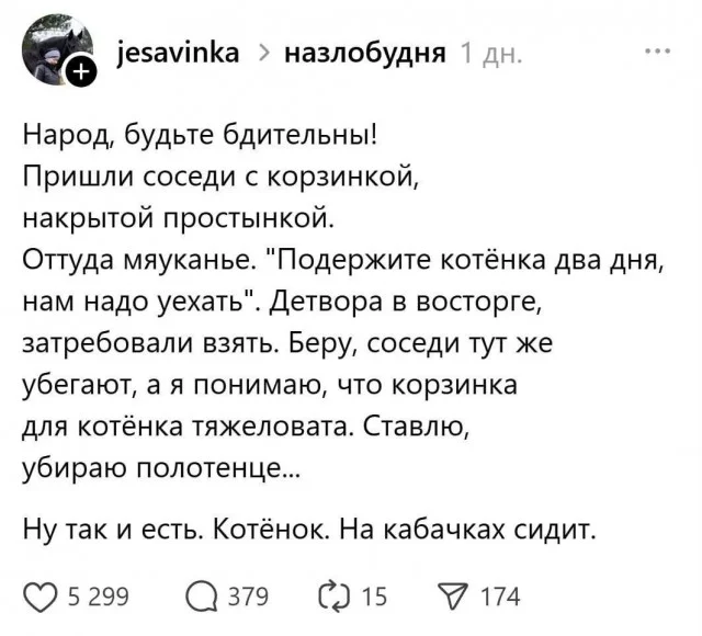 Держите баяны