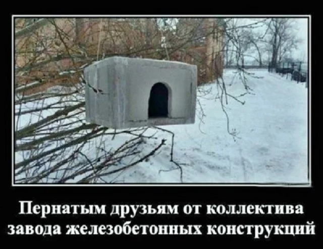 Свежо и хорошо: Приколы