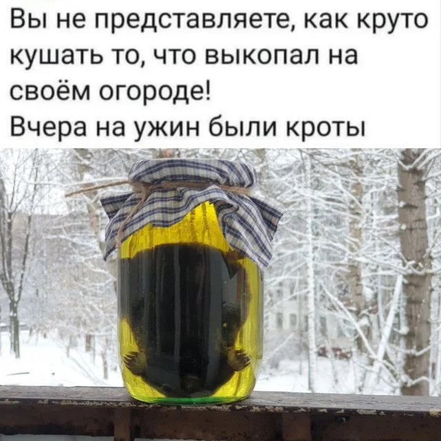 Картинки на для деградирования