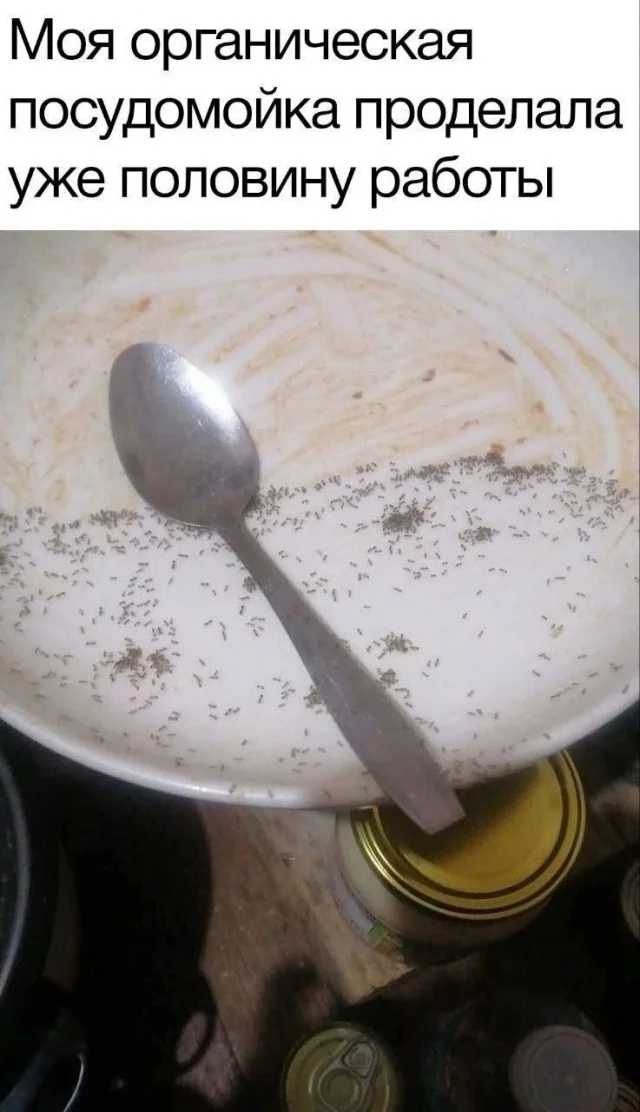 Тупость в картинках