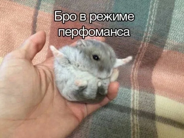 Смешные скрины из соцсетей #103 Смешные скрины из соцсетей #103