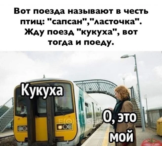 Мемы с ноткой деградации