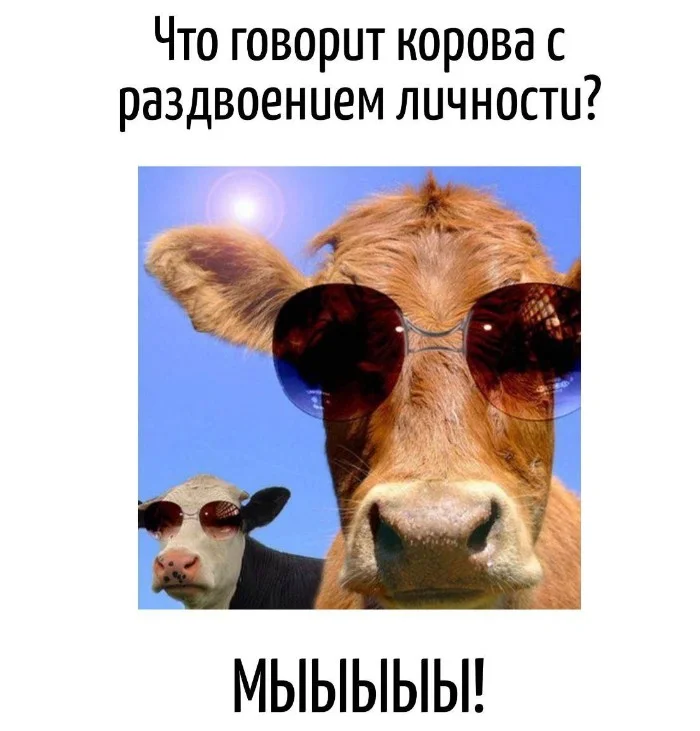 Игра слов – каламбуры, словесный юмор и прикольные картинки #113 Игра слов – каламбуры, словесный юмор и прикольные картинки #113