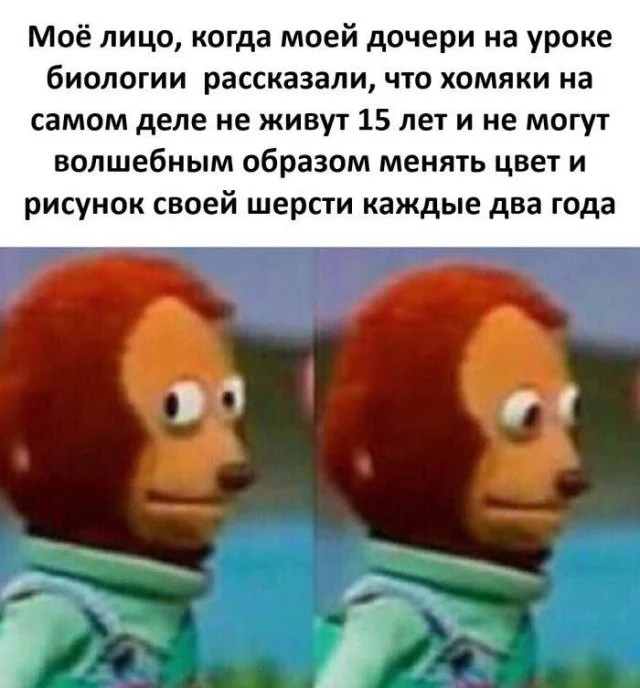 Смешные скрины из соцсетей #104 Смешные скрины из соцсетей #104