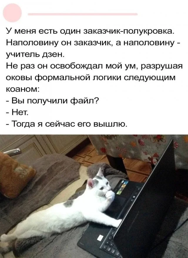 Смешные скрины из соцсетей #107