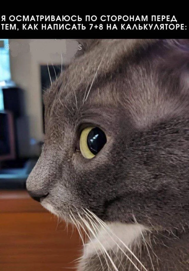 Мемные деградашки