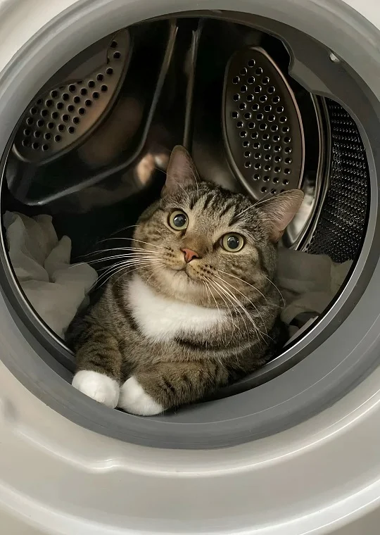 Мемы на каждый день #1