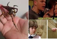 Осенняя коллекция кино-мемов