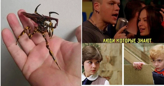 Осенняя коллекция кино-мемов Осенняя коллекция кино-мемов