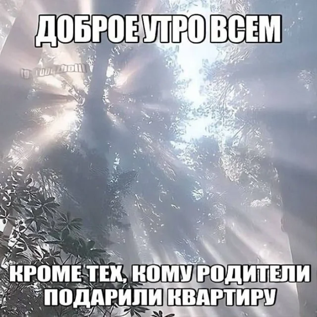 Ну давай деграднем