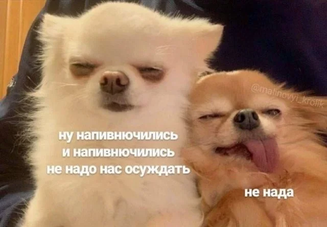 Смешные скрины из соцсетей #104 Смешные скрины из соцсетей #104