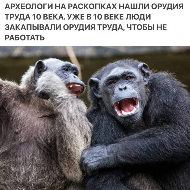 Деградируем с мемами