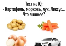 Игра слов – каламбуры, словесный юмор и прикольные картинки #114