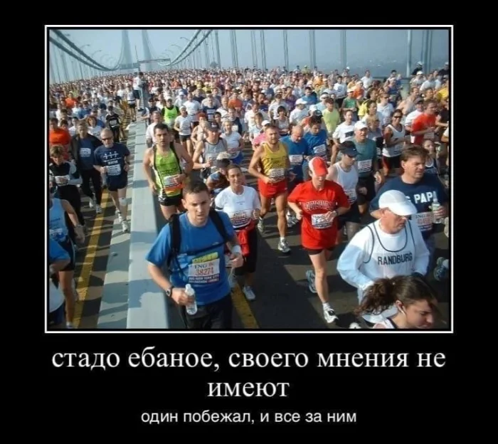 Нестандартный юмор #465