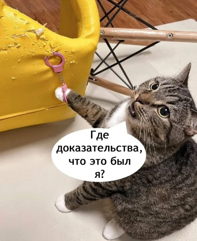 Классные приколы: свежо и смешно #1