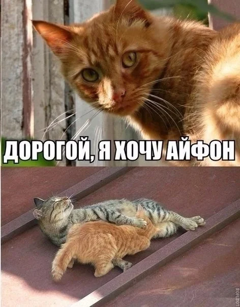 Нестандартный юмор #465