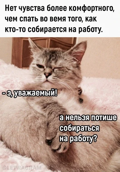 Картинки на для деградирования