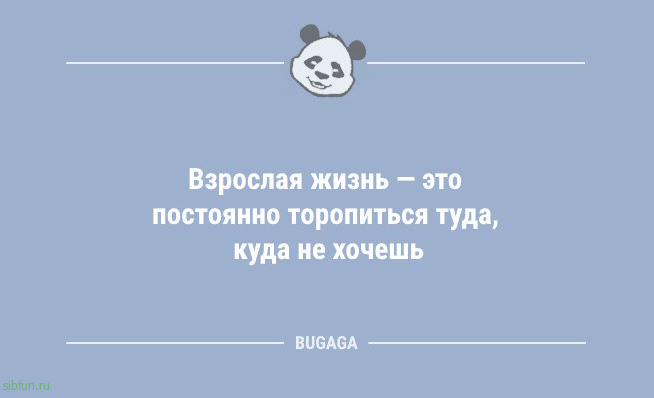 Анекдоты дня: &laquo;Жена хочет велотренажёр&hellip;&raquo; 