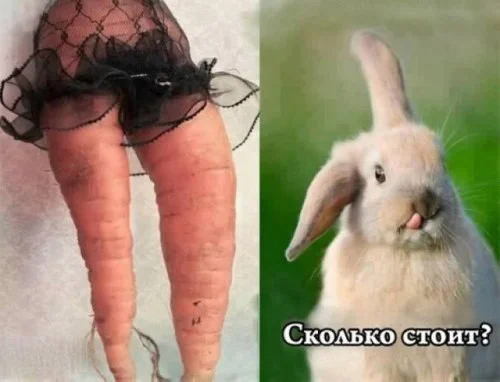 Нестандартный юмор #484