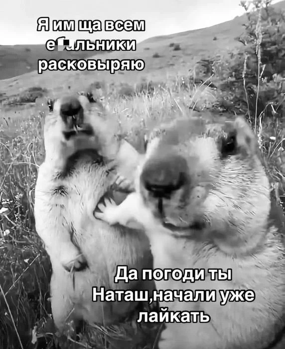 Деградульки