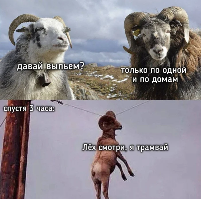 Нестандартный юмор #471 Нестандартный юмор #471