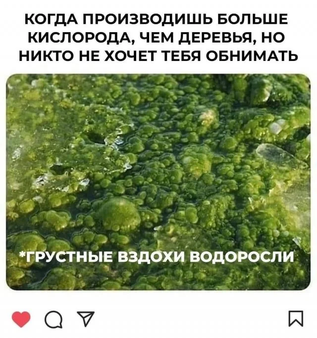 Смешные скрины из соцсетей #114 Смешные скрины из соцсетей #114