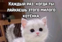 Мемы буднего дня #2