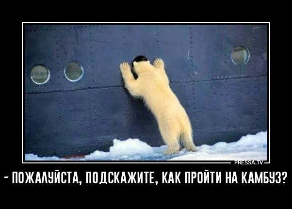 Деградирующие приколы