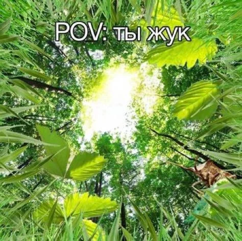 Смешные скрины из соцсетей #108 Смешные скрины из соцсетей #108