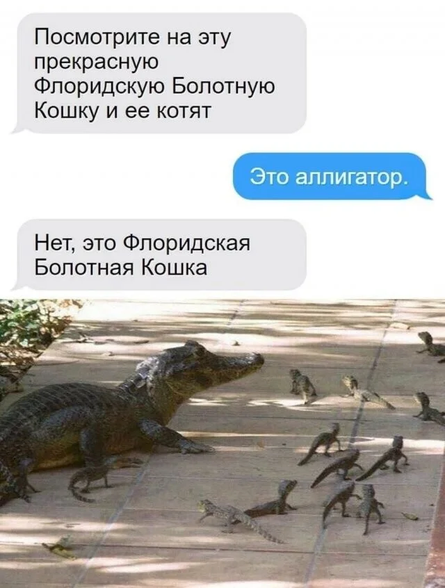 Смешные скрины из соцсетей #106 Смешные скрины из соцсетей #106